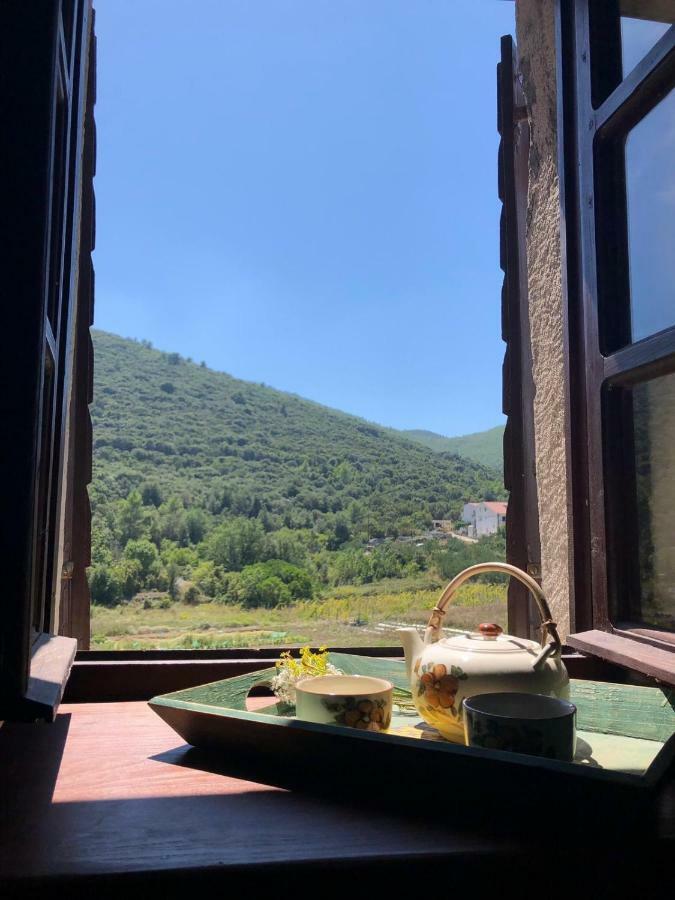 Holiday Home Villa Kastel Zrnovo Luaran gambar